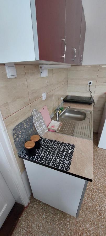 Duplex Mihajlovic-Vrnjacka Banja Appartement Buitenkant foto
