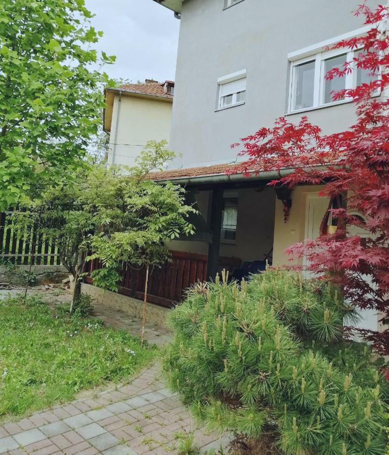 Duplex Mihajlovic-Vrnjacka Banja Appartement Buitenkant foto
