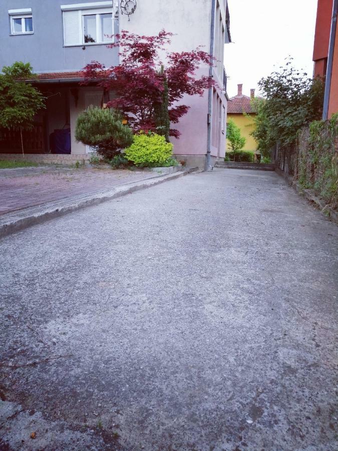 Duplex Mihajlovic-Vrnjacka Banja Appartement Buitenkant foto